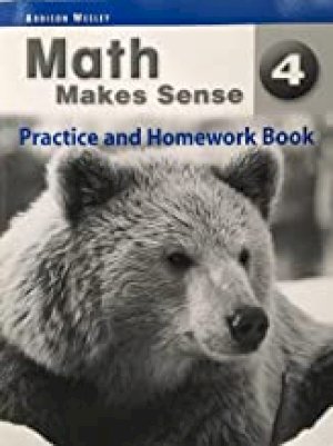 Math Makes Sense 4 Ontario Prac & HW by Workbook