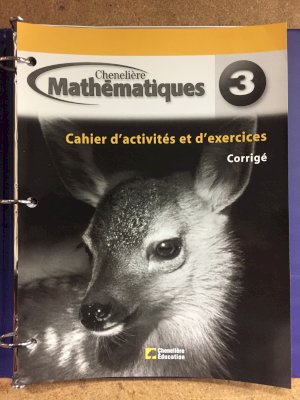 Mathematiques 3e Annee Cahier (Corrige) by Workbook Teacher's Ed