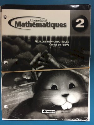 Mathematiques 2e Annee BLM by Jackson, Michelle