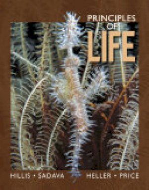 Principles of Life by Hillis, David M