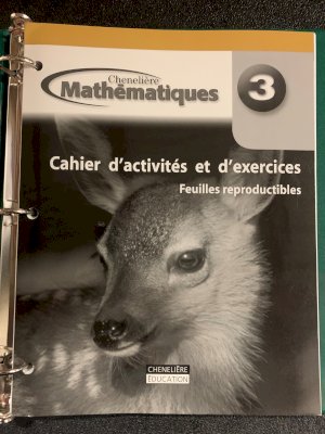 Mathematiques 3 WNCP Feuilles Reproducti by Workbook BLM