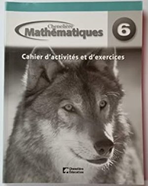 Mathematiques 6e Annee Cahier D'activite by Morrow