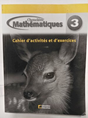 Mathematiques 3e Annee Cahier D'activite by Workbook