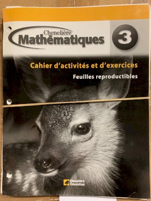 Mathematiques 3 Cahier De L'eleve BLM by Unknown