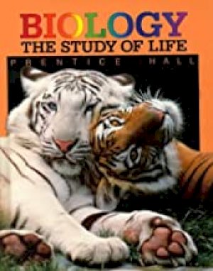 Biology: Study of Life 6/E by Schraer, William D