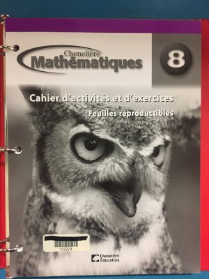 Mathematiques 8e Annee Cahier BLM by Unknown