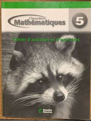 Mathematiques 5e Annee Cahier D'activite by Morrow