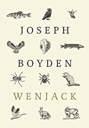 Wenjack by Boyden, Joseph