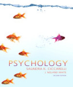 Psychology 2/E by Ciccarelli, Saundra