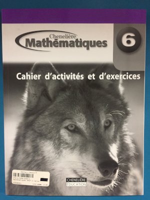 Mathematiques 6 WNCP Cahier by Workbook