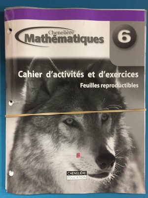 Mathematiques 6 Cahier Feuilles Reproduc by Workbook BLM