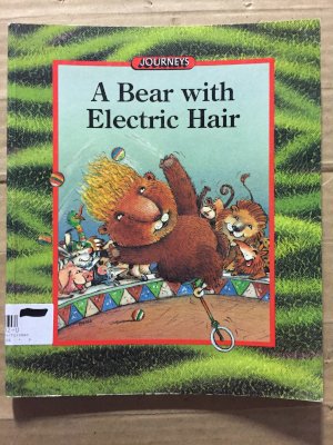 Journeys: A Bear with Electric Hair by Tuinman
