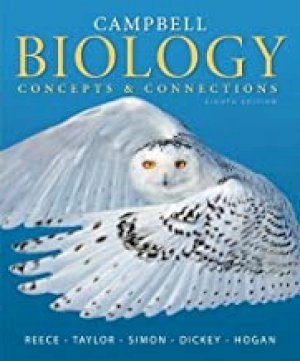 Biology: Concepts & Connections 8/E by Reece, Jane B