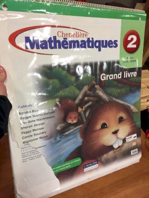 Mathematiques 2 WNCP Grand Livre by Big Book