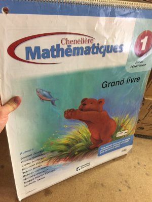 Mathematiques 1 WNCP Grand Livre by Big Book