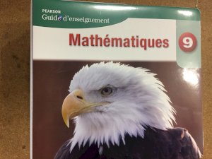 Pearson Mathematiques 9 Teacher Guide by Teacher's Guide